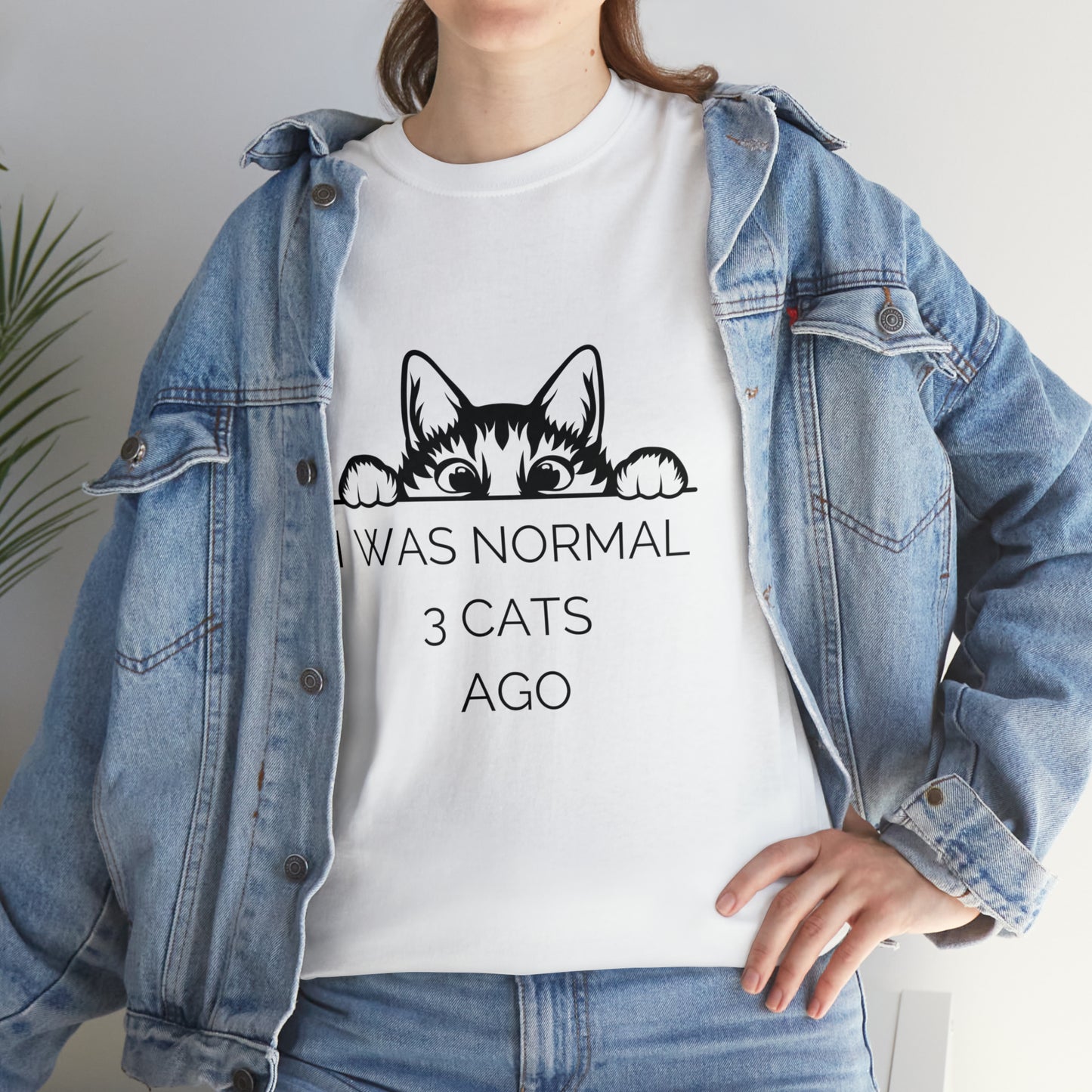 I Was Normal 3 Cats Ago Funny Cat Lover T-Shirt