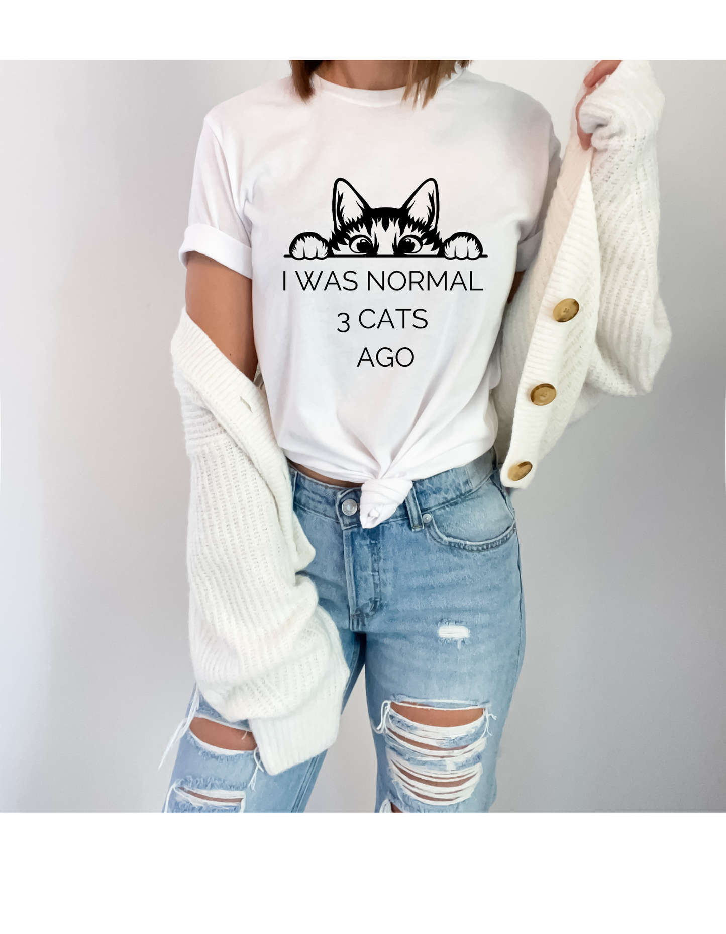 I Was Normal 3 Cats Ago Funny Cat Lover T-Shirt