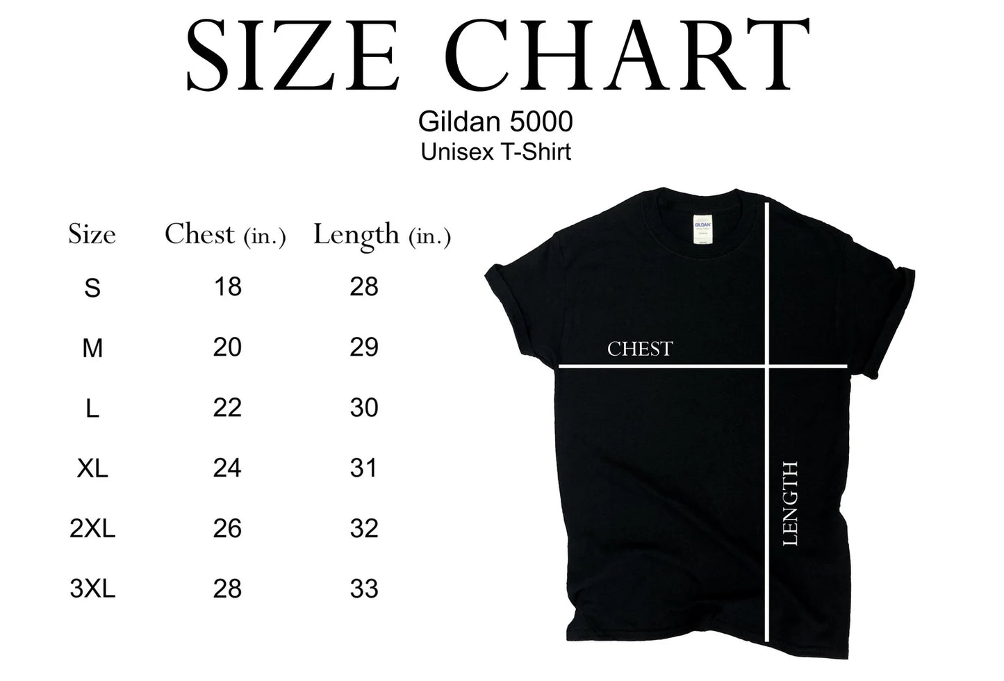 Having a Chronic Illness Is Like Riding A Rollercoaster, But A Lot Less Fun T-Shirt