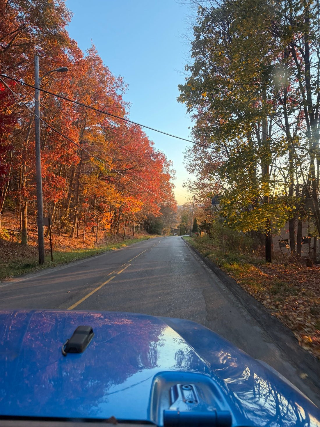 Colorful orange and red autumn trees along a road, seen from a blue Jeep